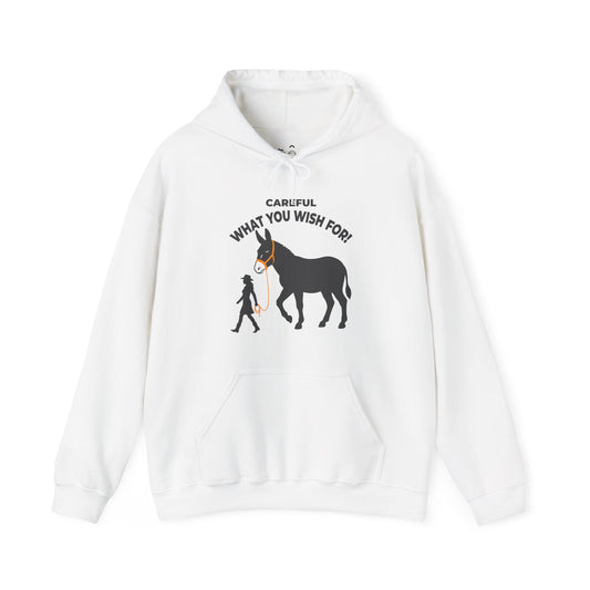 Funny Big Ass hoodie with a giant donkey being walked on a leash after a genie wish gone wrong
